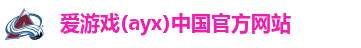爱游戏(ayx)中国官方网站